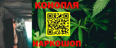 СК Пугачёв