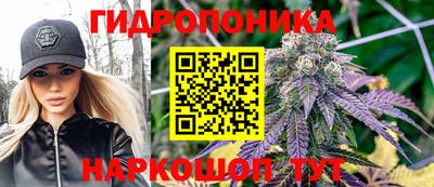 СК Пугачёв