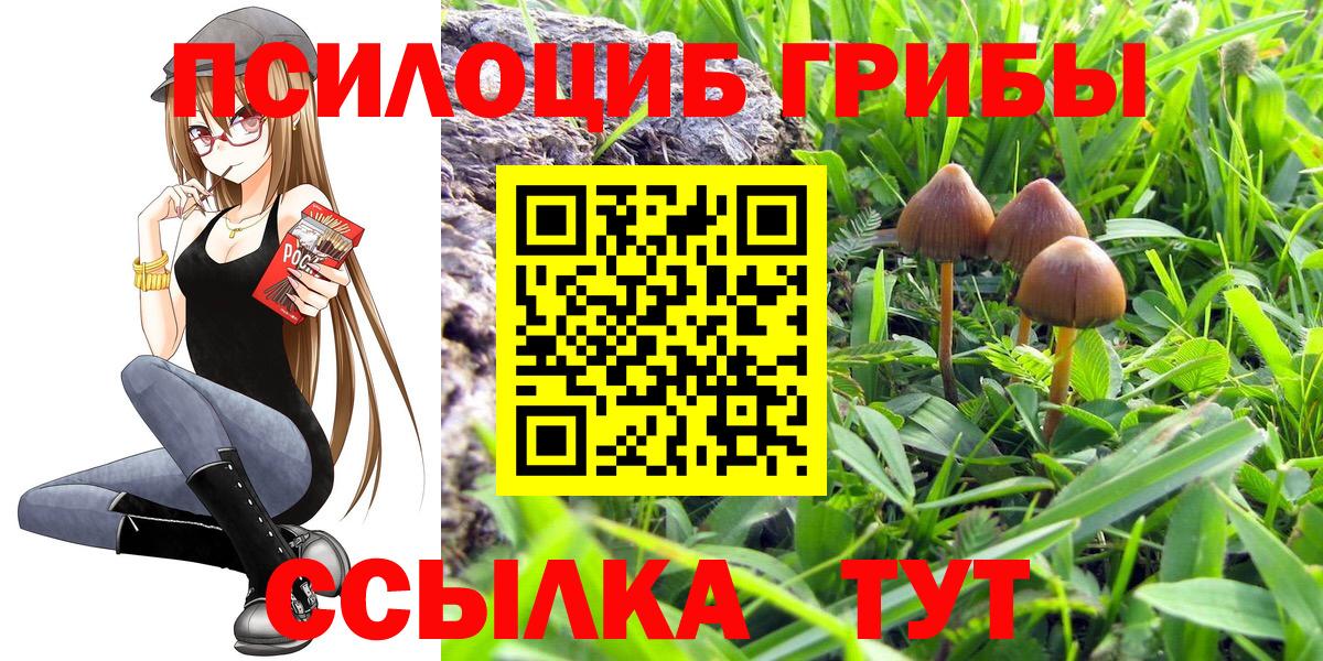 Галлюциногенные грибы ЛСД Рославль